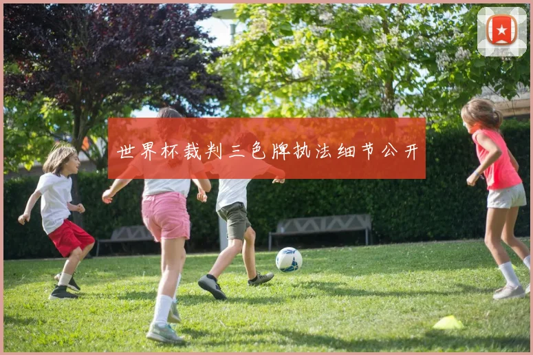世界杯裁判三色牌执法细节公开
